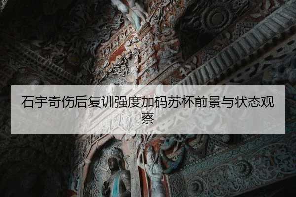 石宇奇伤后复训强度加码苏杯前景与状态观察（QIUSUSPORTS）